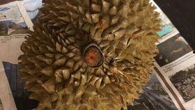 国产榴莲翻车现场视频大全,视频大全揭秘甜蜜陷阱